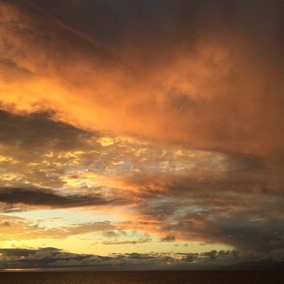 Meet your Posher, Cecile - Picture 1 of 1